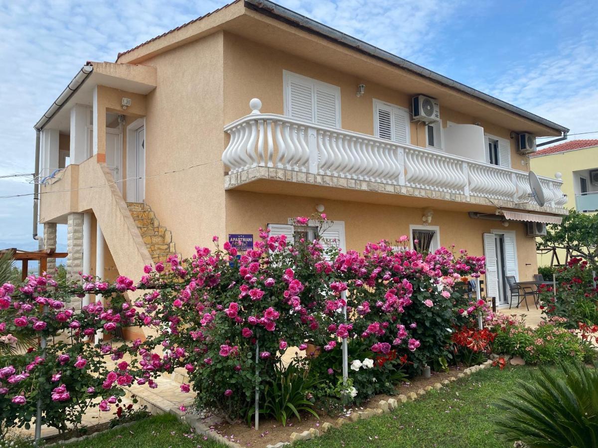 Apartments Lolo بريفلاكا المظهر الخارجي الصورة